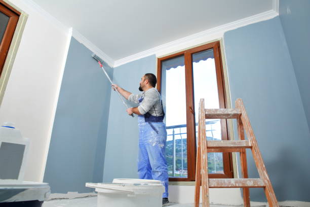 Trusted Gamewell, NC Mold Removal Experts